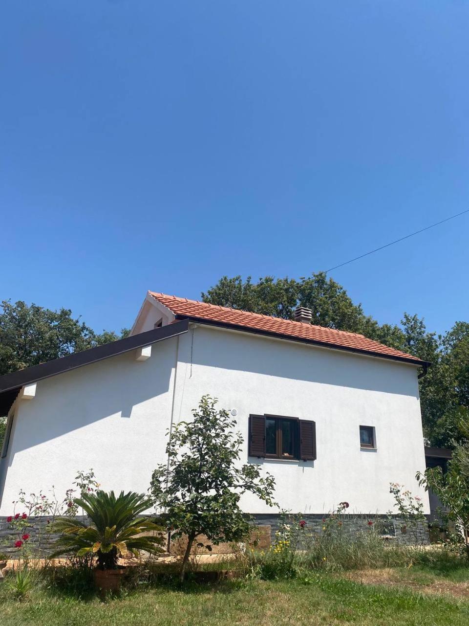 Villa Shu Krimovica Exterior photo